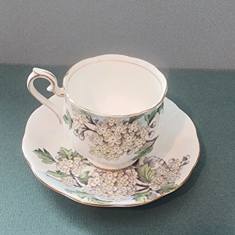 Vintage Royal Albert "Flower of the Month Series #5  Hawthorn Teacup Saucer Set